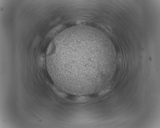 X0000071830527200607211805