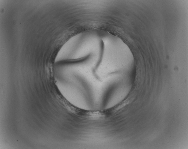 X0000071830528200607211805