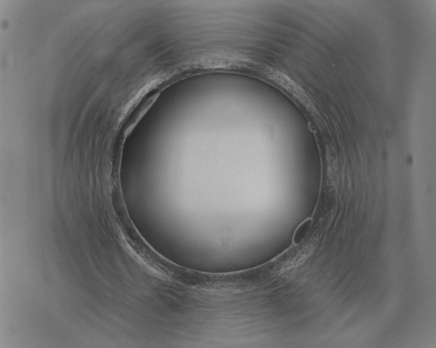 X0000071830530200607211804