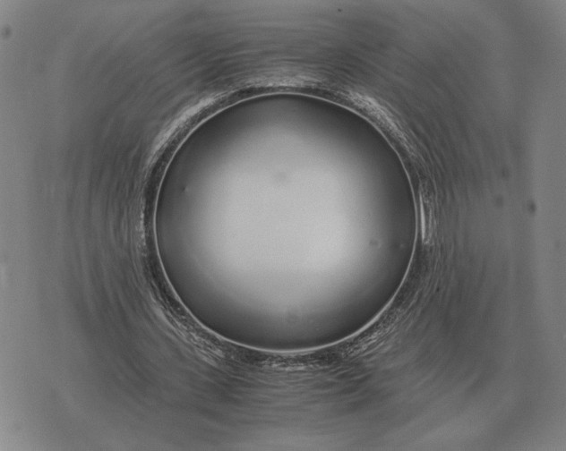 X0000071830531200607211804