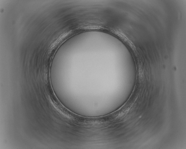 X0000071830533200607211804