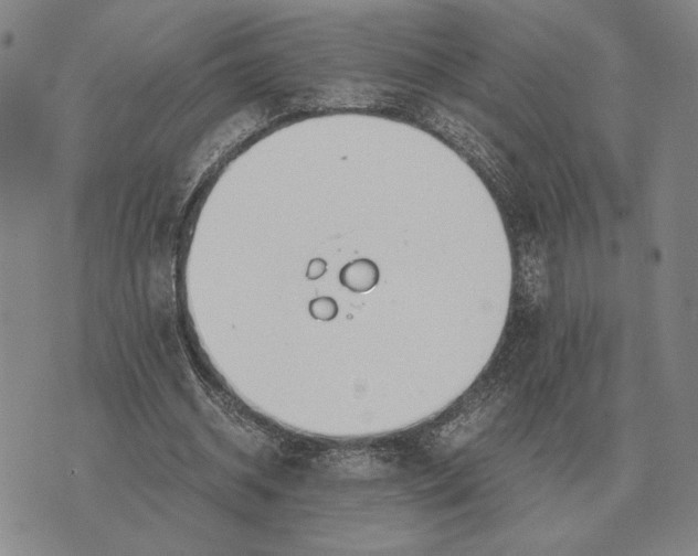 X0000071830534200607211804