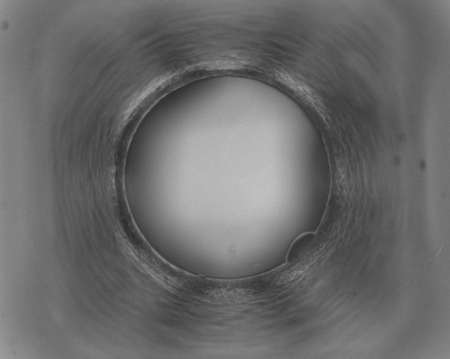 X0000071830535200607211804