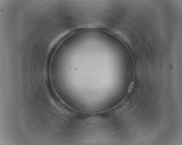 X0000071830536200607211804