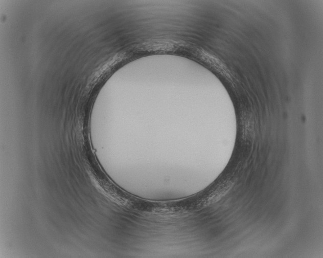 X0000071830538200607211804