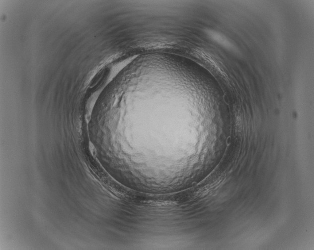 X0000071830539200607211804