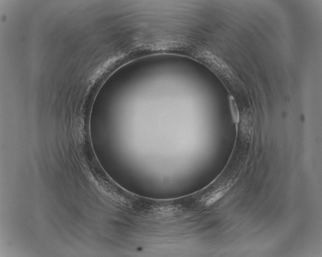 X0000071830540200607211804