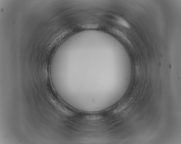 X0000071830541200607211804