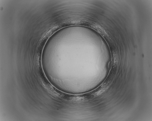 X0000071830542200607211804