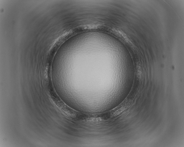 X0000071830543200607211804