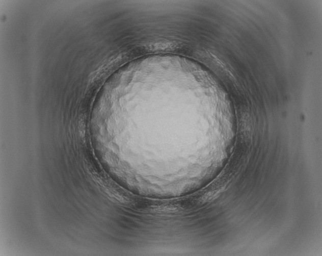 X0000071830545200607211804