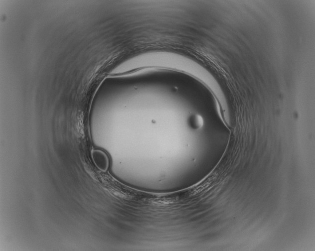 X0000071830547200607211804