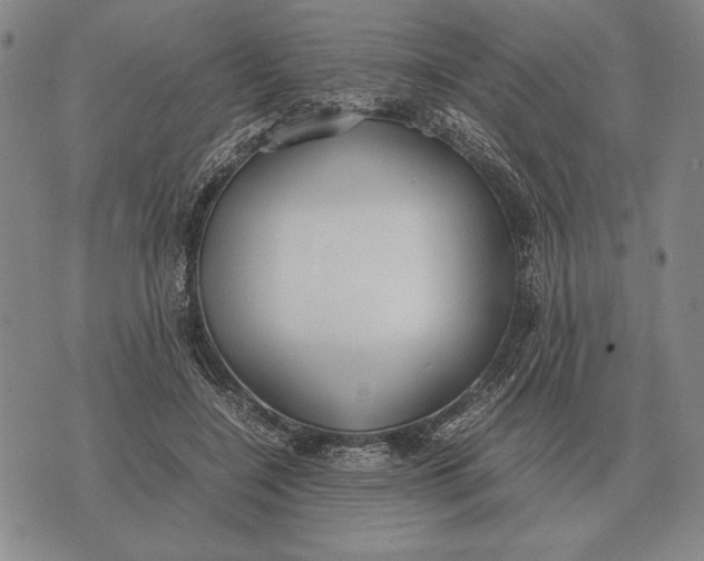 X0000071830548200607211804