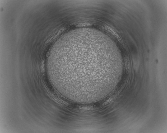 X0000071830549200607211804