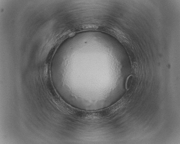 X0000071830550200607211804