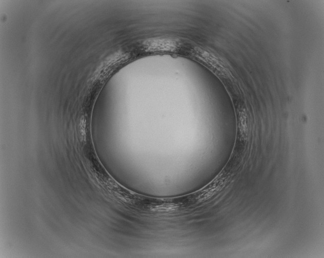 X0000071830551200607211804