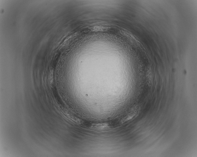 X0000071830554200607211804