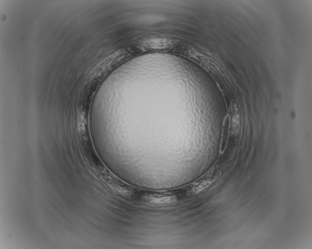 X0000071830555200607211804