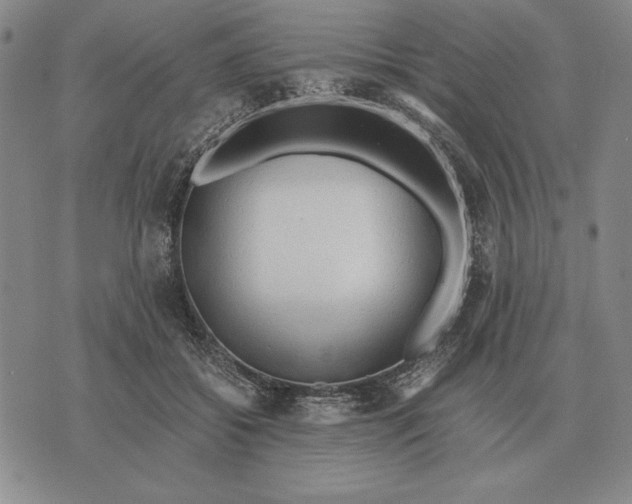 X0000071830556200607211804