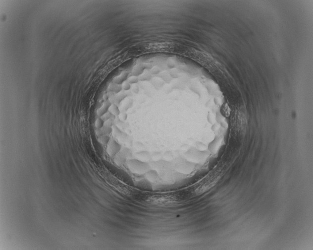 X0000071830557200607211804