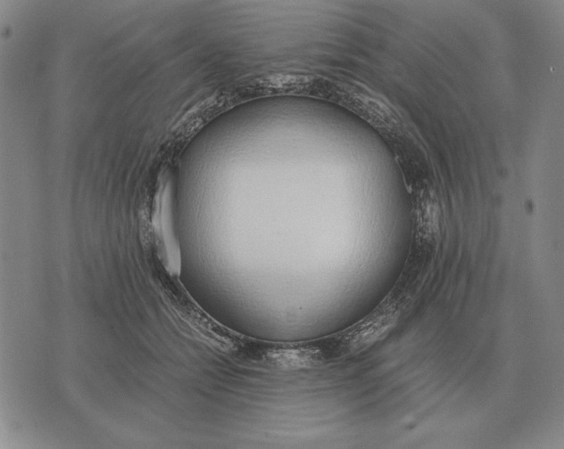 X0000071830558200607211804