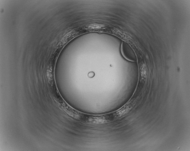 X0000071830559200607211804