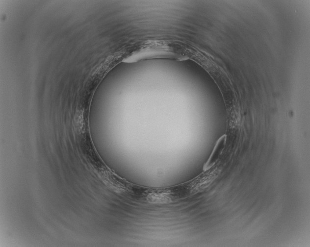 X0000071830560200607211804