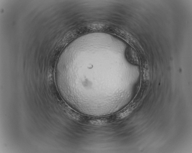 X0000071830561200607211804