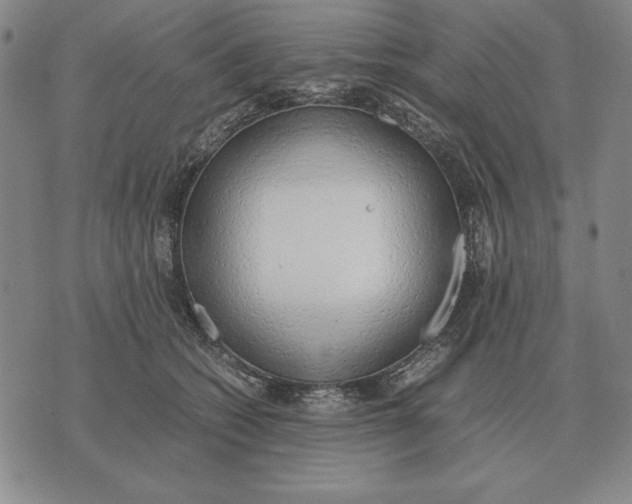 X0000071830562200607211804