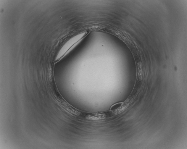 X0000071830563200607211804