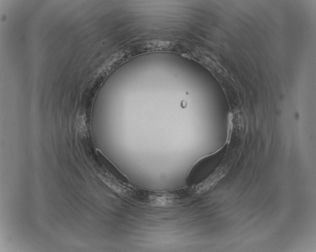 X0000071830564200607211804