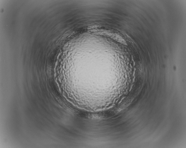 X0000071830565200607211804