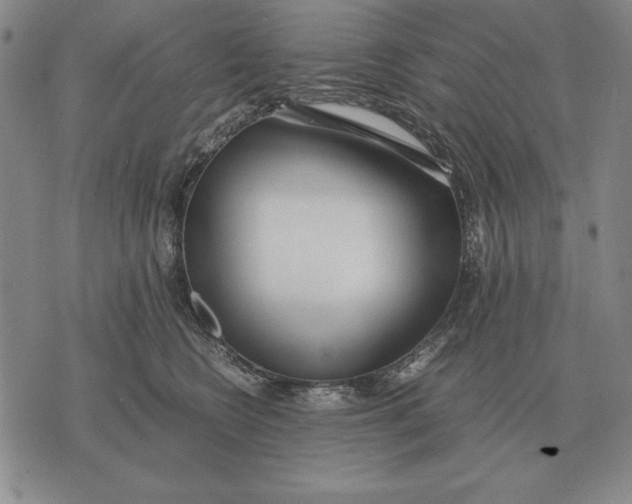 X0000071830566200607211804