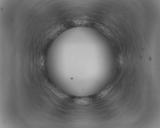 X0000071830567200607211804