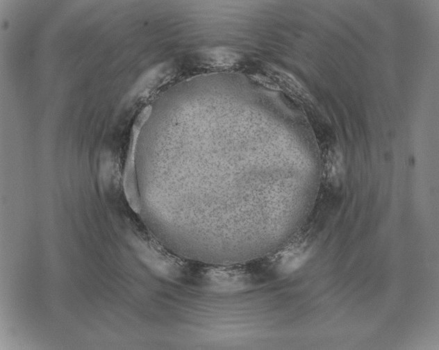 X0000071830568200607211804