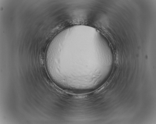 X0000071830569200607211804