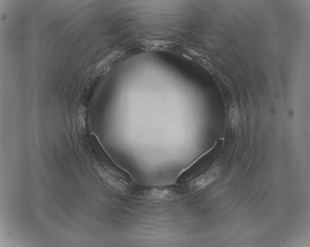 X0000071830570200607211804