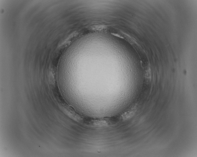 X0000071830572200607211804