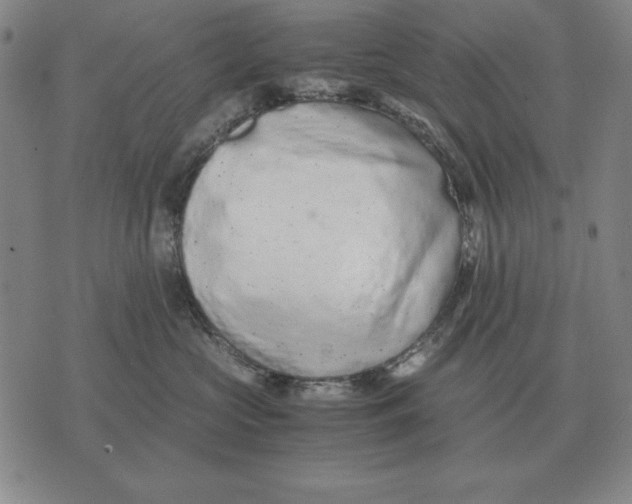 X0000071830573200607211805