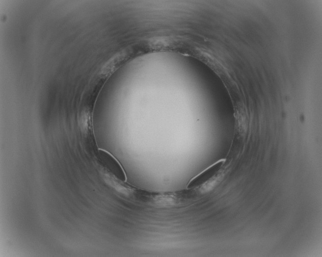 X0000071830574200607211805