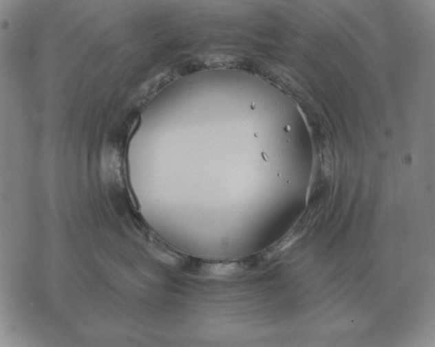 X0000071830575200607211805