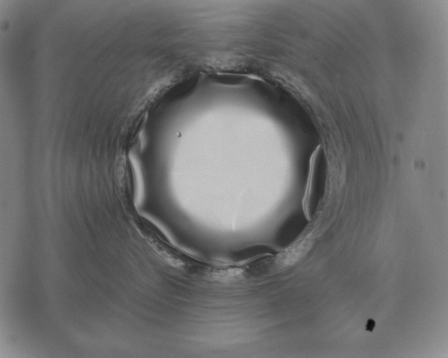 X0000071830576200607211805