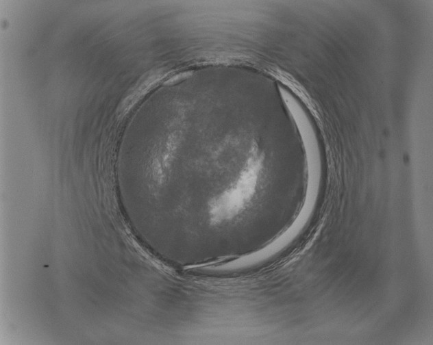 X0000071830577200607211804