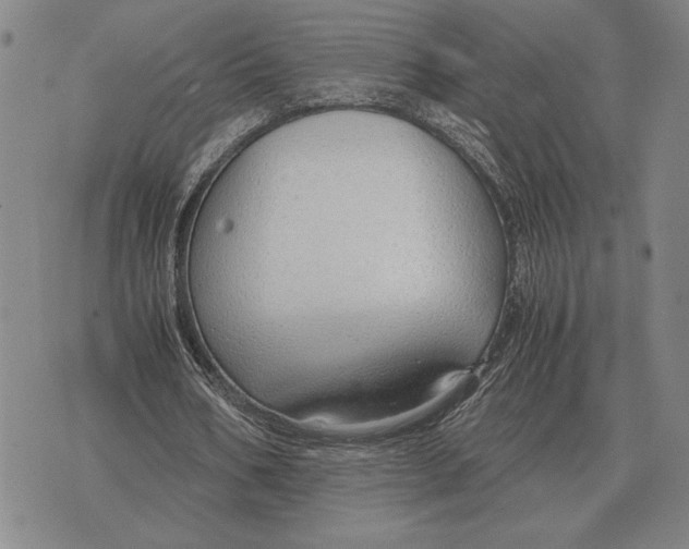 X0000071830578200607211804