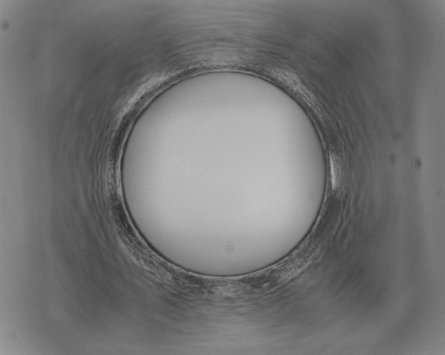 X0000071830579200607211804