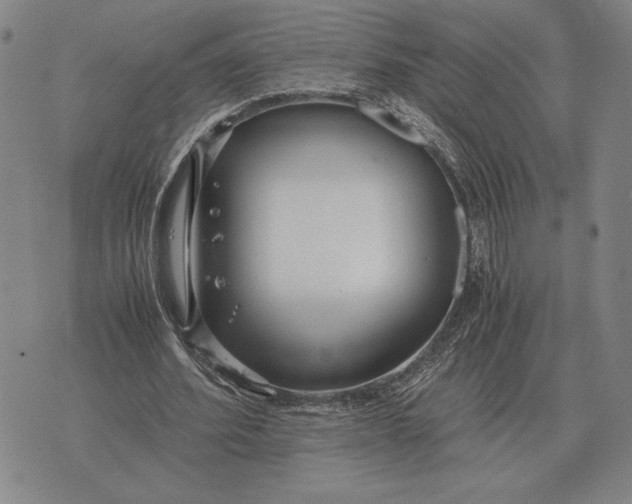 X0000071830580200607211804