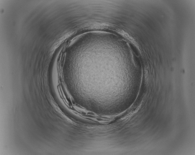 X0000071830581200607211804