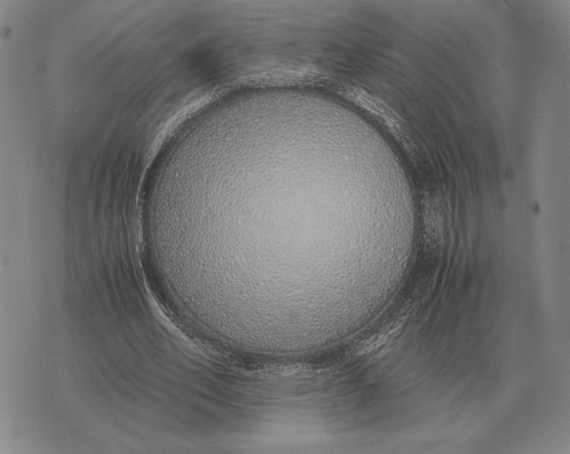 X0000071830582200607211804