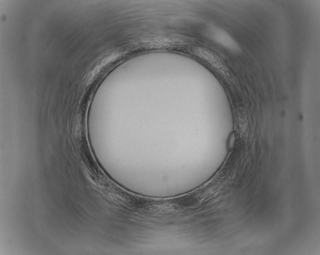 X0000071830583200607211804