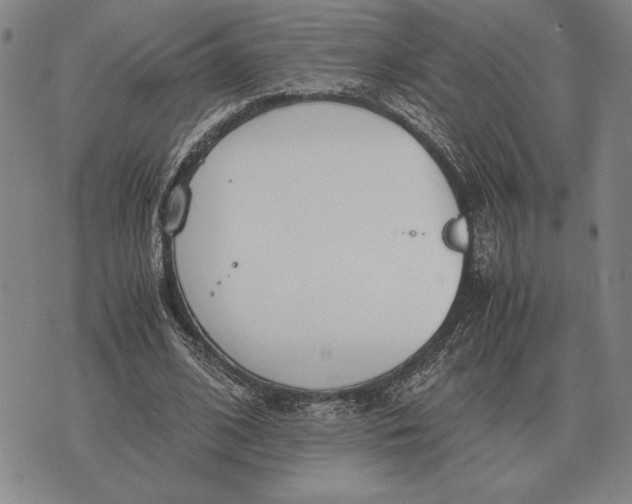 X0000071830584200607211804